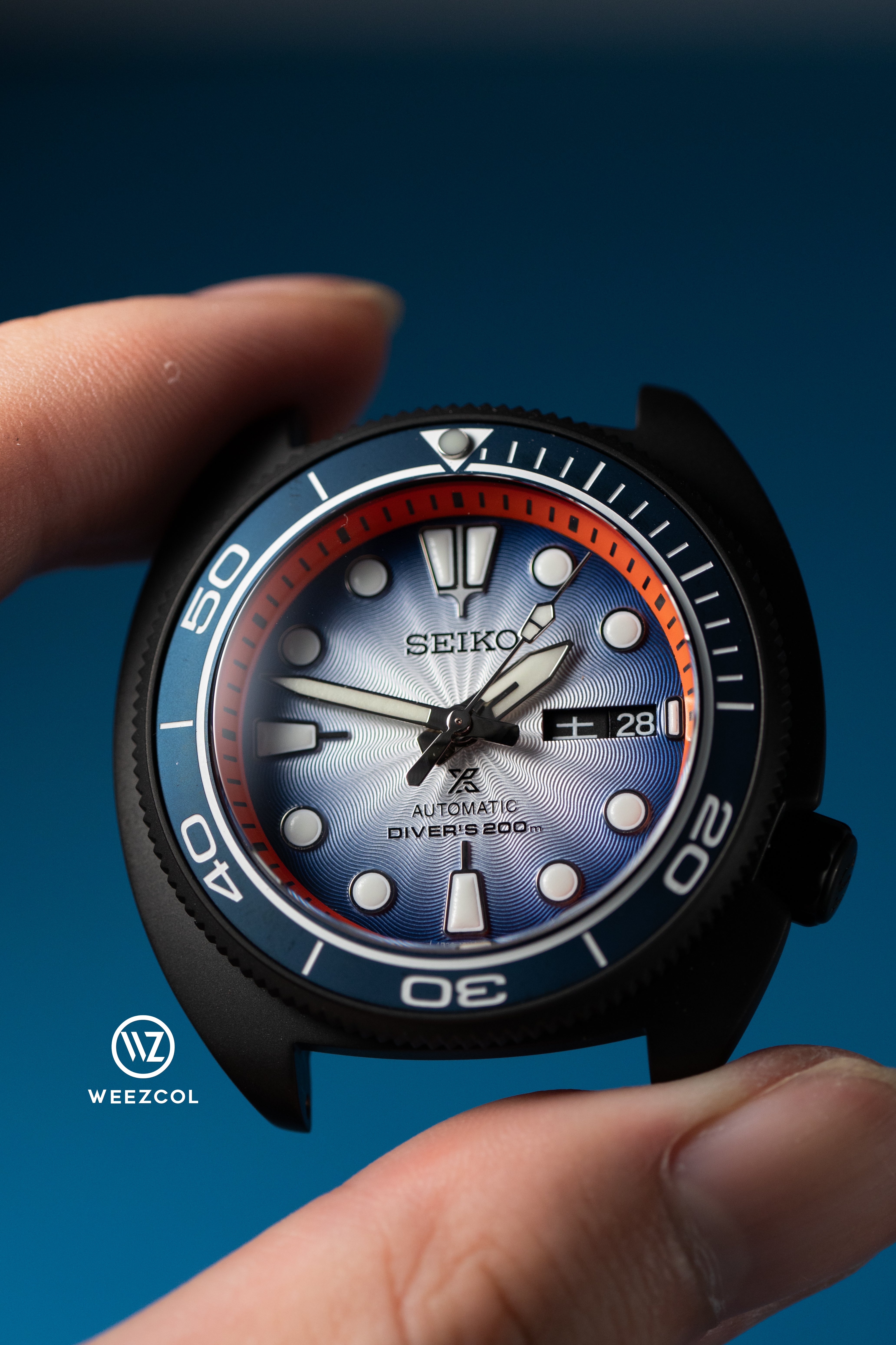 SKX007 SRPL17: Siamese Fighting Fish